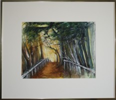 Waldweg in Bad Feilbach