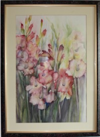 Gladiolien