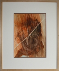 Baumstammquerschnitt 3